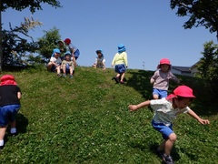 園外保育で出掛けた公園で遊ぶ幼児の写真