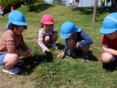 園外保育でで出掛けた公園で自然物を集める幼児の写真