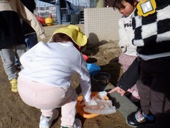 氷を触る幼児の写真