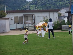 芝生で虫取りをする幼児の写真