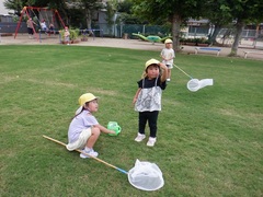 芝生で虫取りをする幼児の写真