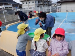 プールで氷を見付けた幼児の写真