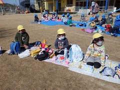 芝生園庭でお弁当を食べる幼児の写真