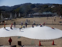 芝生広場で遊ぶ幼児の写真