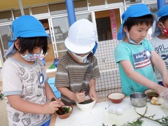 ヨモギを使って色水遊びをする幼児の写真