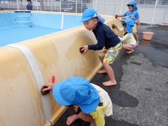 たわしを使ってプール掃除をしている幼児の写真