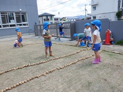 収穫したジャガイモの数を数える幼児の写真