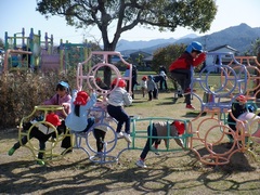 公園で遊ぶ幼児の写真