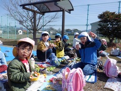 公園で弁当を食べる幼児の写真