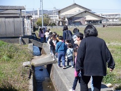 荏原校区文化祭に参加する幼児の写真