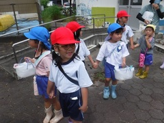 トマト狩りに行く幼児の写真