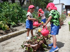 水やりをする幼児の写真