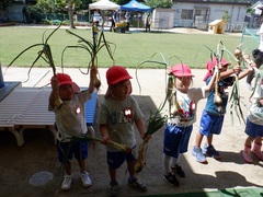 タマネギ収穫をしている幼児の写真