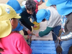 氷で遊んでいる様子