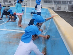 プール掃除をする幼児の写真