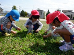 公園で遊んでいる幼児の写真