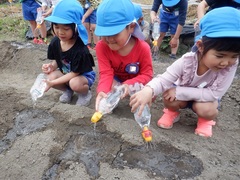 昨日植えた里芋の水やりをしている幼児の写真