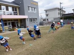 綱引きをする幼児の写真