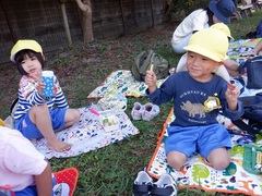 公園でお弁当を食べる幼児の写真