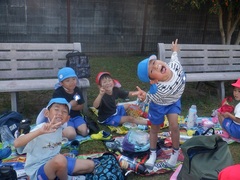 公園でお弁当を食べる幼児の写真