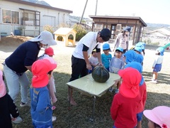 かぼちゃでままごとをする幼児の写真