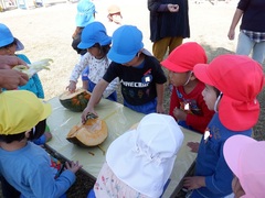 かぼちゃでままごとをする幼児の写真