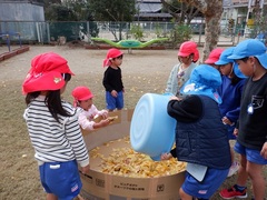 園庭で遊ぶ幼児の写真