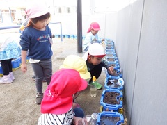 植木鉢の水やりをする幼児の写真