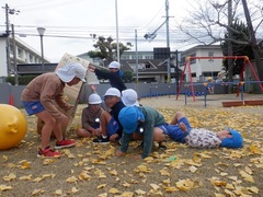 イチョウの葉を集める幼児の写真