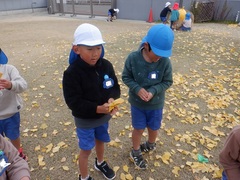 イチョウの葉を集める幼児の写真