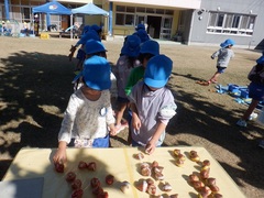 チューリップ植えをしている幼児の写真