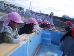 プールの様子をみている子どもたち