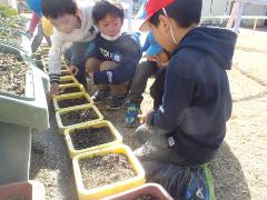 植木鉢をのぞき込む子供たち
