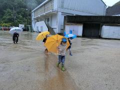 雨の流れを見ている様子