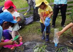 水やりの様子