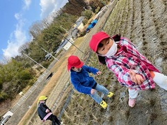 田んぼの様子