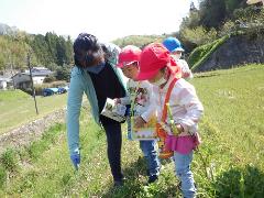 草花を見ている様子