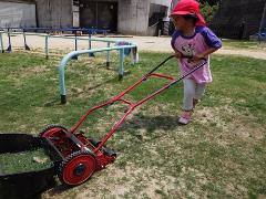 芝刈りの様子