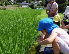 生き物を逃がしている様子