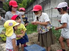 小学生がチョウを捕まえている様子