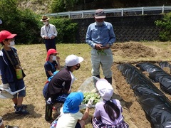 苗植えの仕方を教えてもらっている様子