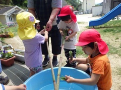 イタドリで遊ぶ様子