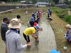 田植えをしている様子