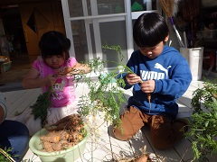 ニンジンを葉と分ける幼児