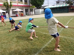 綱引きをする幼児