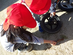 カマキリを見たり、触ろうとしたりする幼児