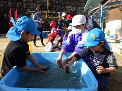 サツマイモを洗う幼児と児童