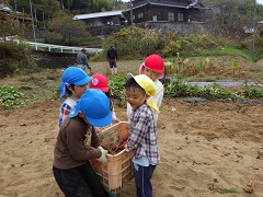 キャリーに入った芋を運ぶ幼児たち