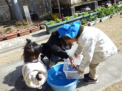 出来た氷を使って氷屋さんごっこをする幼児