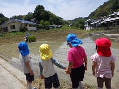 田植え機を見る